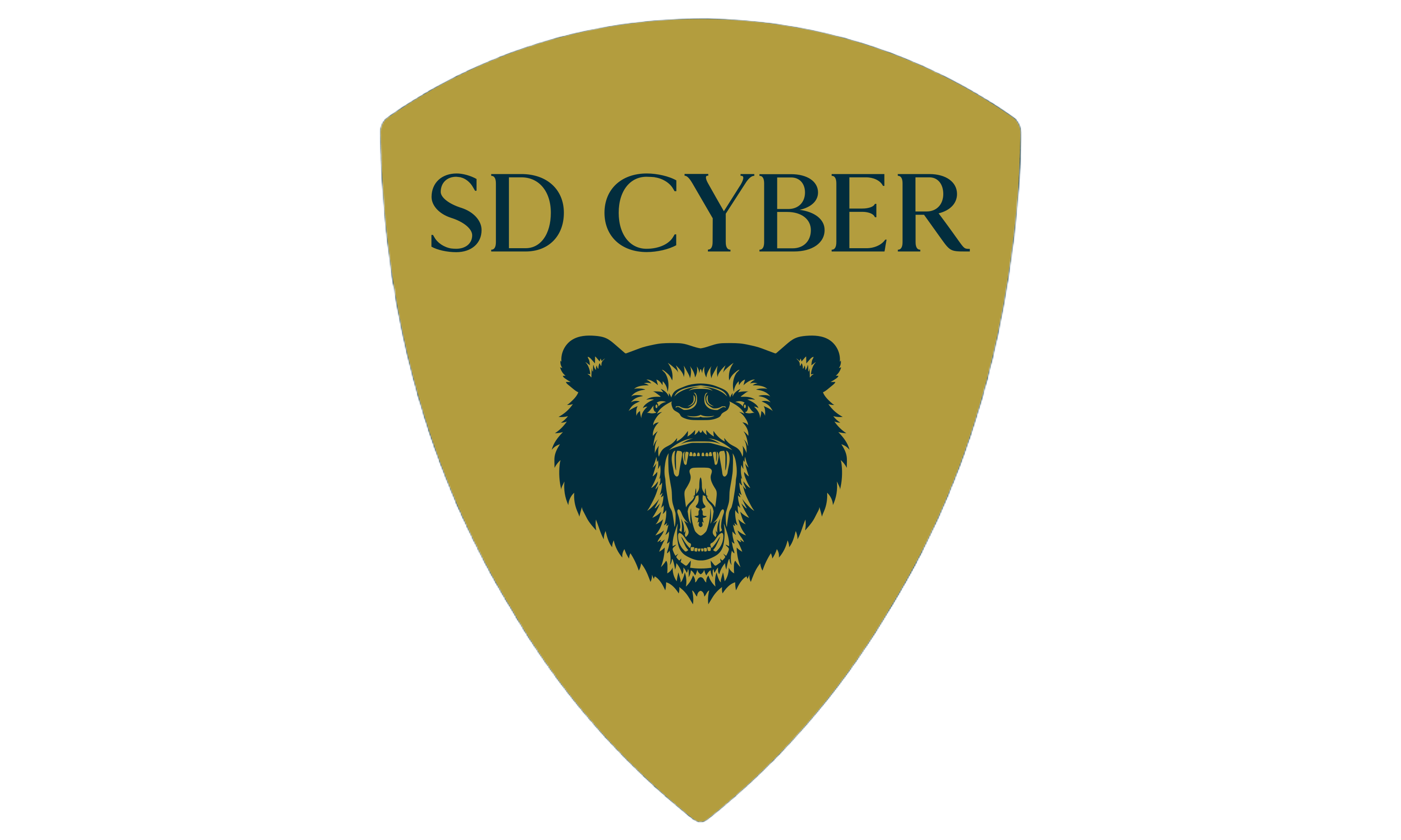 SD CYBER